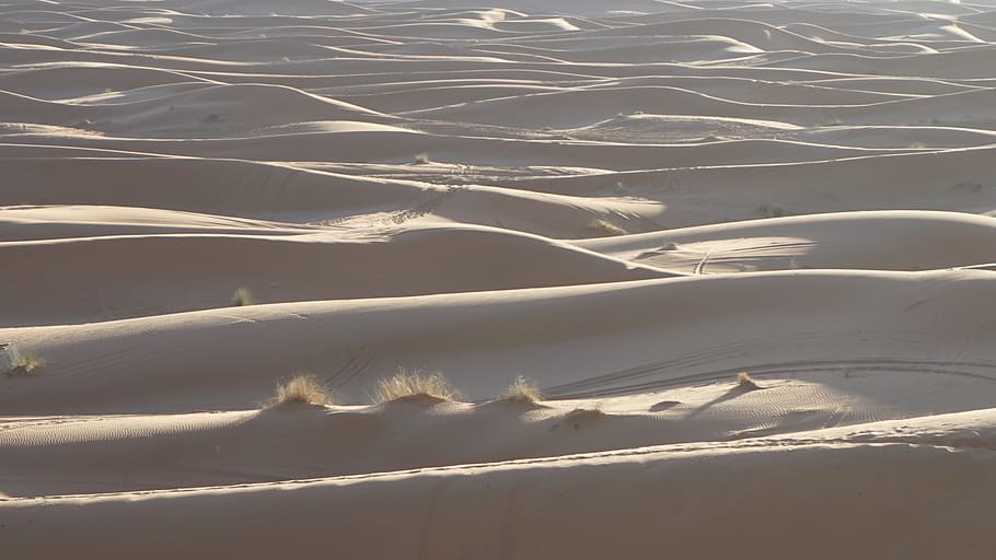 white sand field during daytime, soil, nature, outdoors, dune HD wallpaper