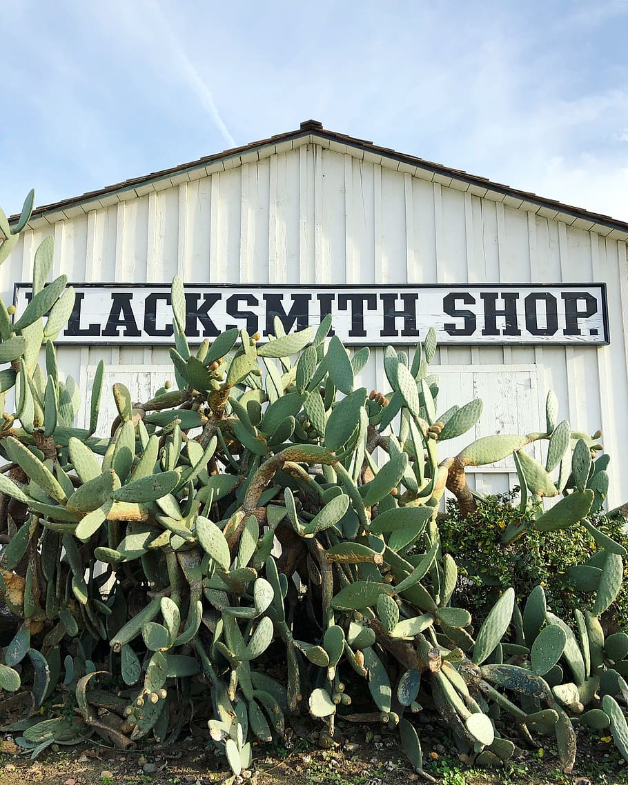 Blacksmith shop, plant, cactus, san diego, old town, usa, cacti HD wallpaper