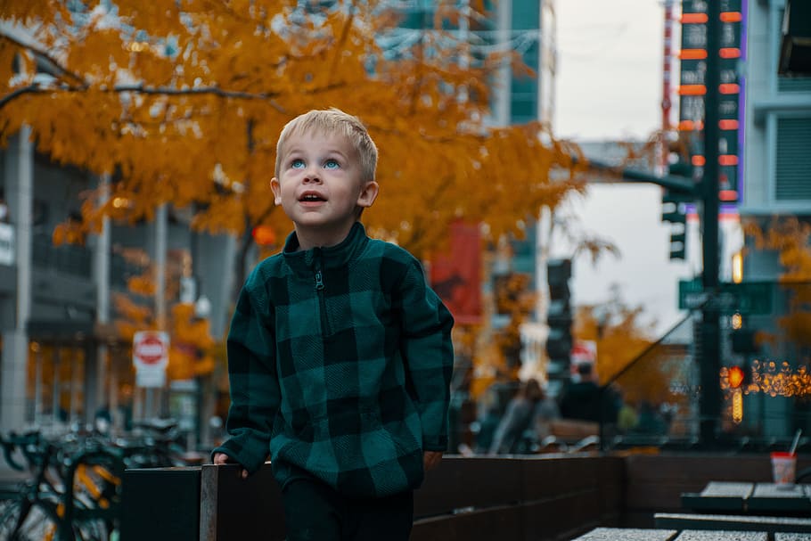 Photo Of Little Boy, child, cute, kid, person, wear, young, males HD wallpaper