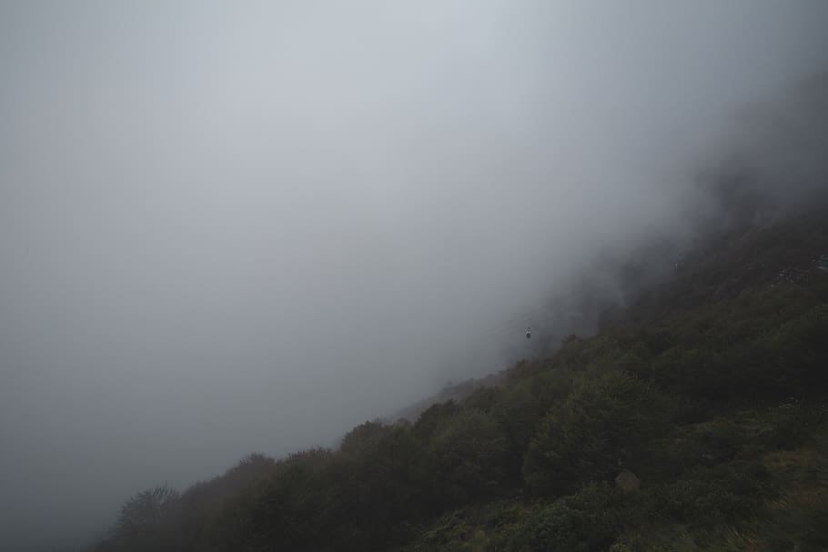 cloud, mountain, fog, plant, tree, beauty in nature, scenics - nature HD wallpaper