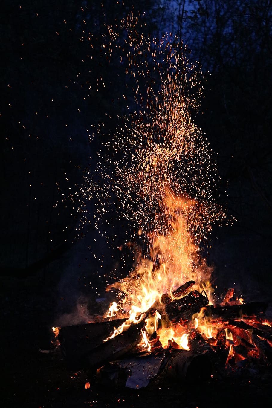 Burning Firewoods, ash, blaze, bonfire, burnt, camping, coal HD wallpaper