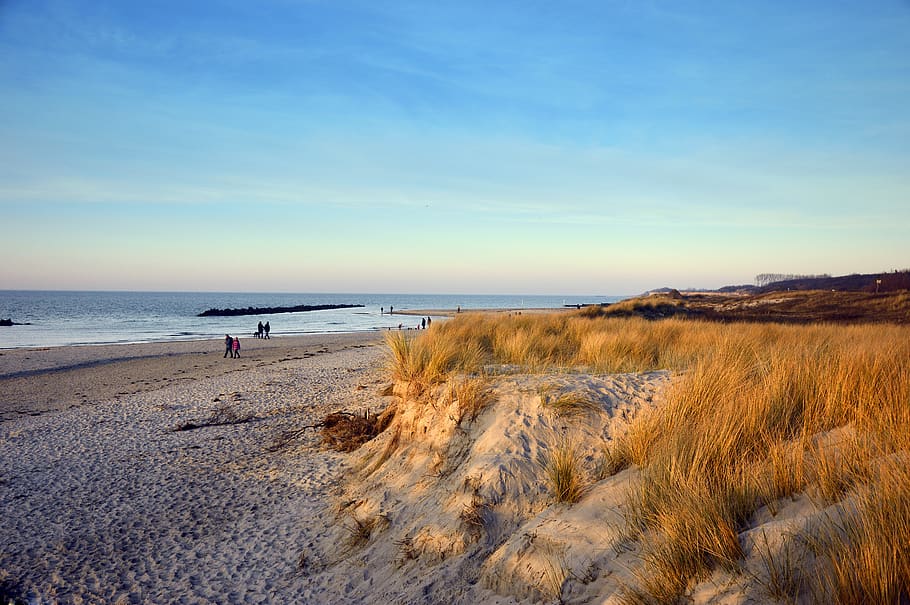 beach, sand, dunes, marram grass, sea, baltic sea, rest, relaxation HD wallpaper