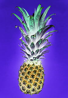 Pineapple Clip Art, background, blue background, bright, color HD wallpaper