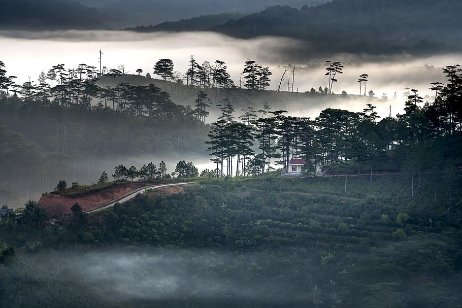 clouds, dawn, vietnam, fanciful, to design, natural, light HD wallpaper