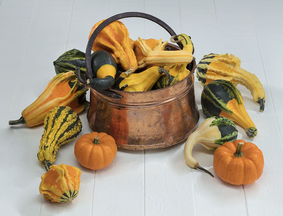 yellow pumpkin lot, food and drink, freshness, healthy eating HD wallpaper
