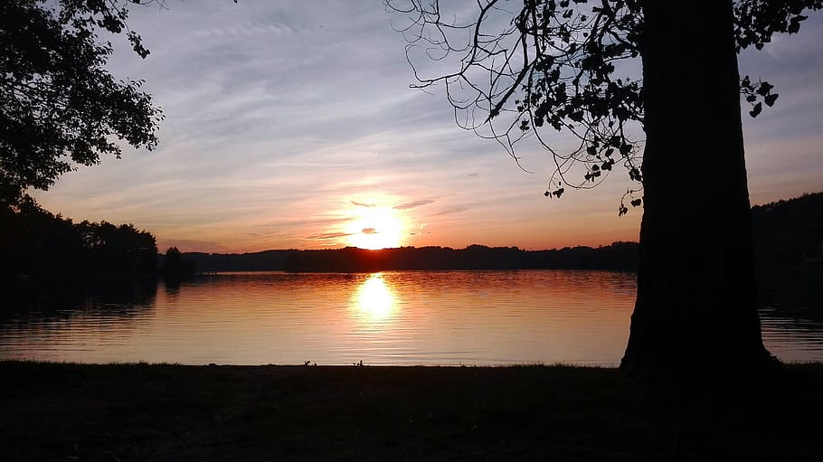 poland, przewóz, sunset, sky, water, silhouette, tree, lake HD wallpaper