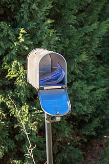 mailbox, post, metal, mailboxes, newspaper, postman, plant HD wallpaper