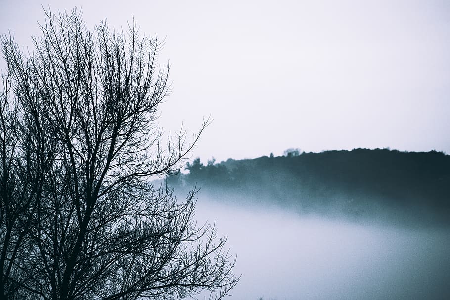 mist, trees, nature, winter, fall, sky, mountain, forest, tranquility HD wallpaper