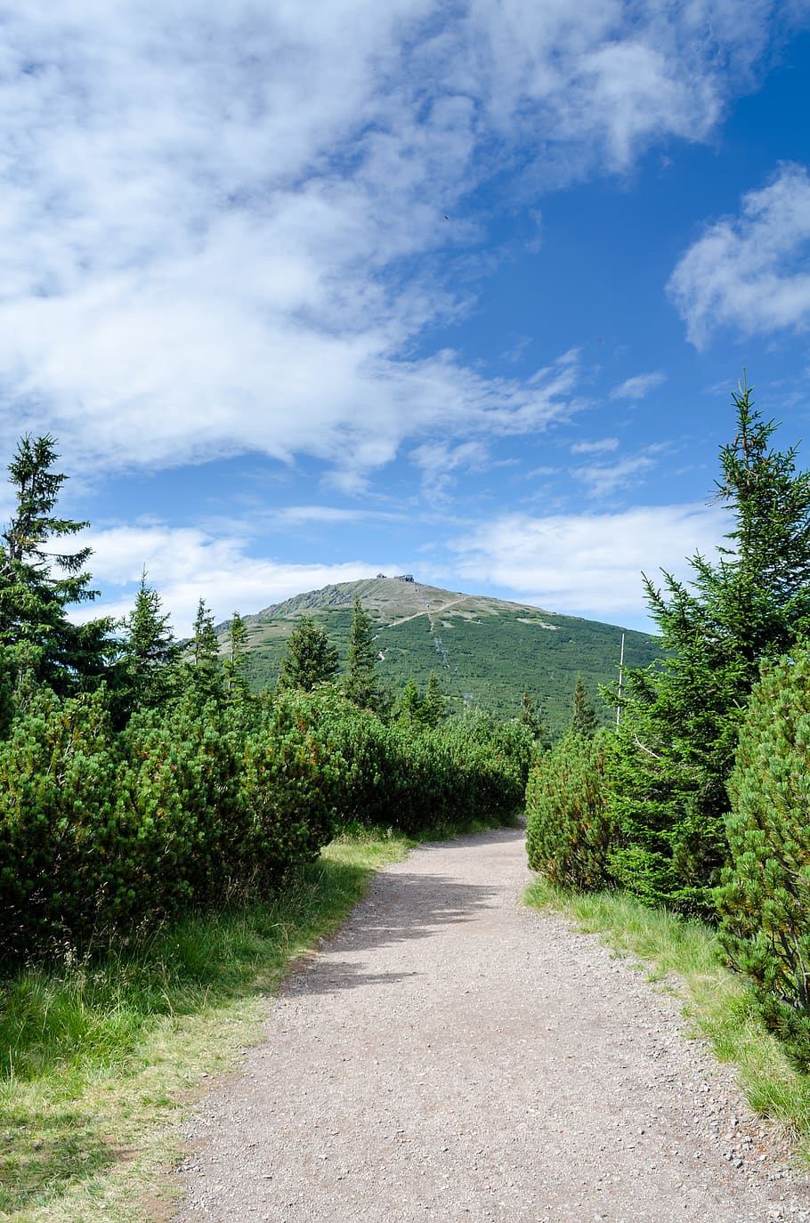 landscape, mountains, forest, woods, trees, summer, road, plant HD wallpaper