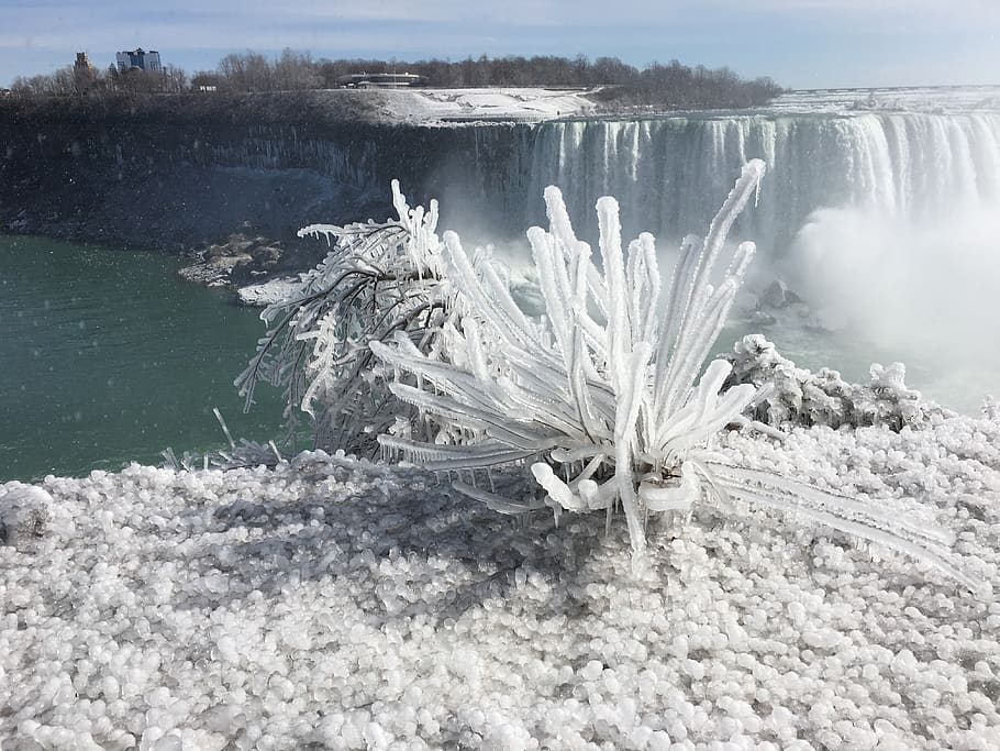 canada, niagara falls, water, beauty in nature, plant, tranquility HD wallpaper