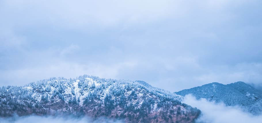 india, singtur range, trees, mountain, forests, snow, snowfall HD wallpaper