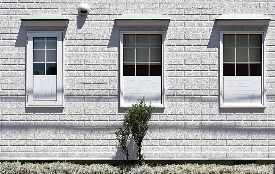 green plant beside white painted house, wall, brick, window, shrub, HD wallpaper