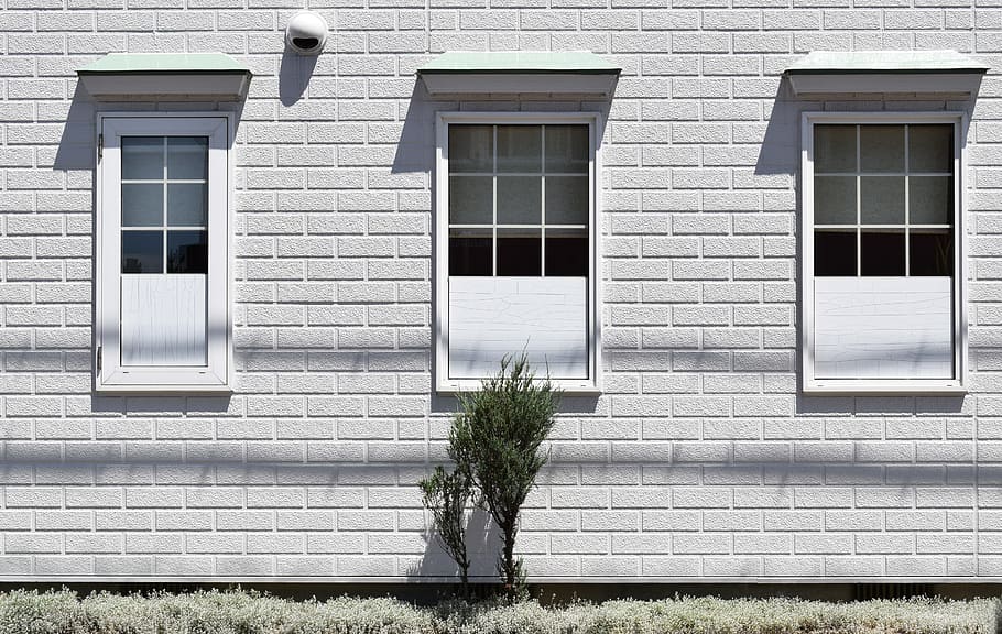 green plant beside white painted house, wall, brick, window, shrub HD wallpaper