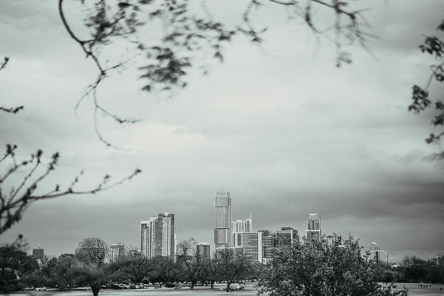 high-rise buildings, tree, building exterior, architecture, city HD wallpaper