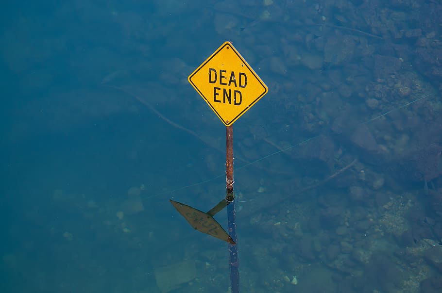 pond, water, shield, dead end, yellow, attention, risk, poison HD wallpaper