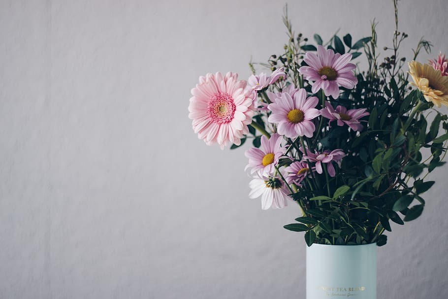 Pink Flowers in White Vase, beautiful, bloom, blooming, blossom HD wallpaper