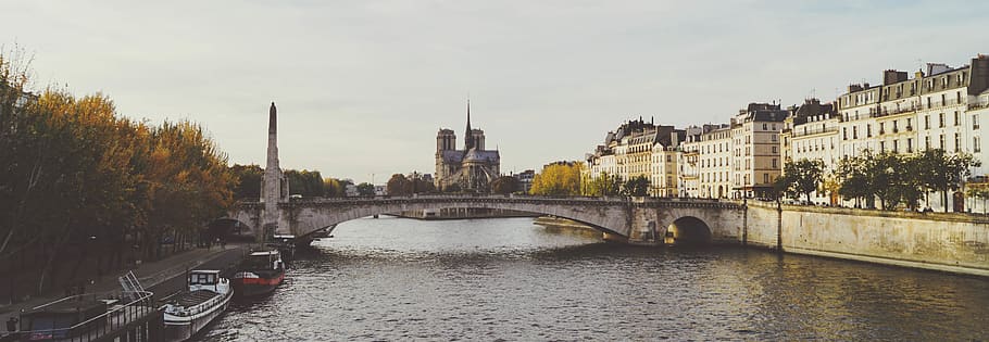france, paris, cathédrale notre-dame de paris, architecture, HD wallpaper