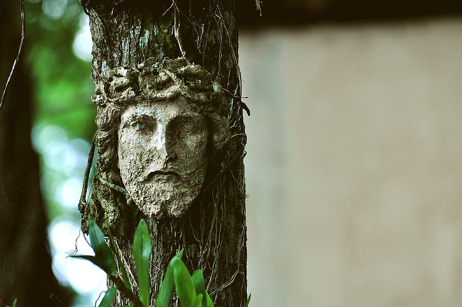 Jesus tree artwork, focus on foreground, tree trunk, plant, no people HD wallpaper