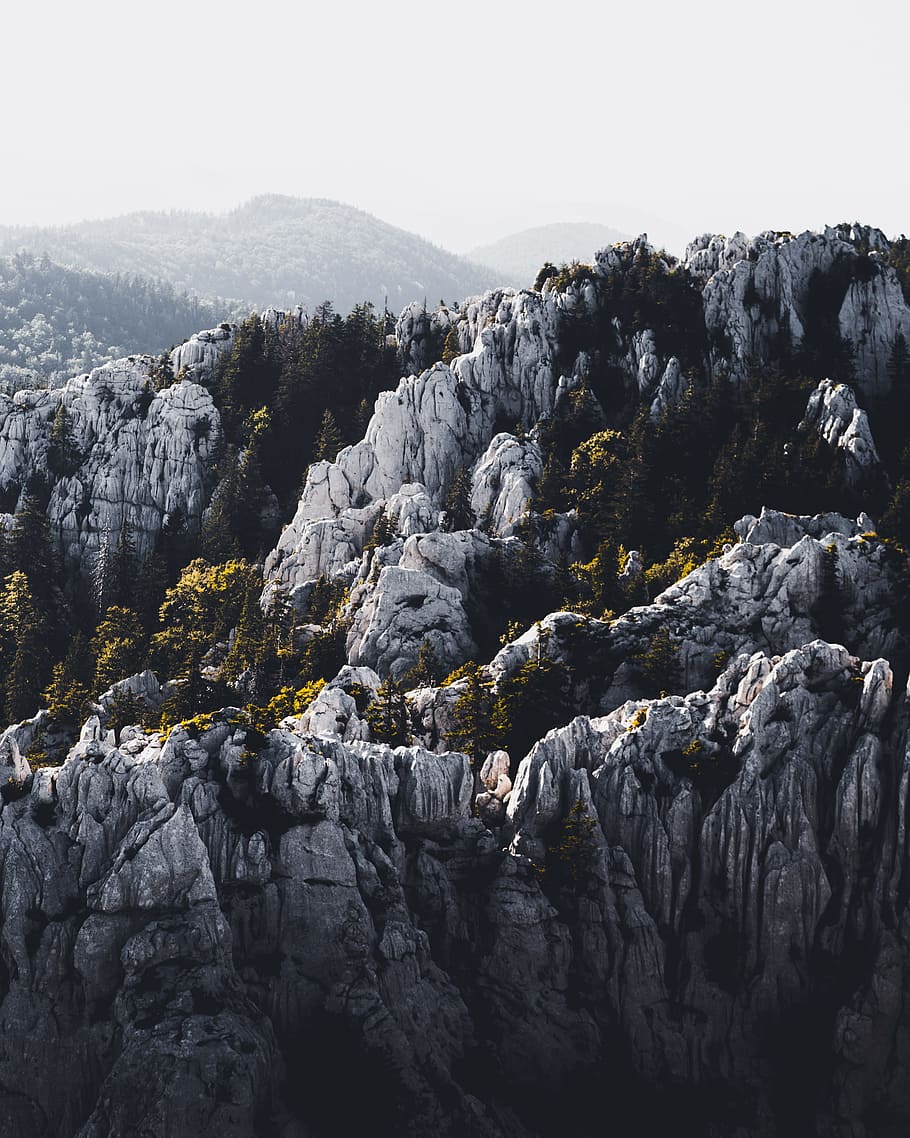 trees on white rock formation covered with white smoke at daytime HD wallpaper