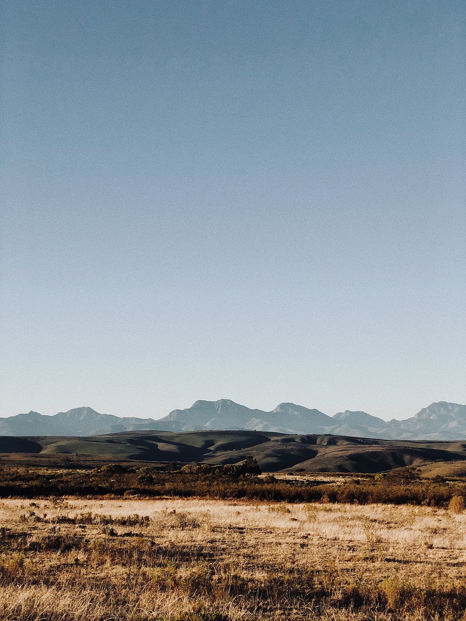 brown field view, outdoors, grassland, south africa, unnamed road HD wallpaper