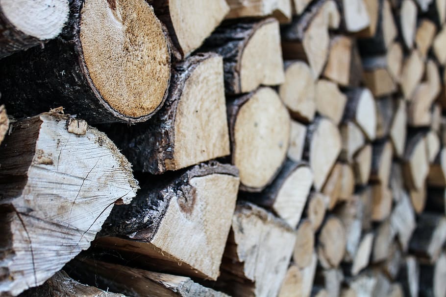 firewood lot, lumber, grey, food, bread, animal, reptile, snake HD wallpaper