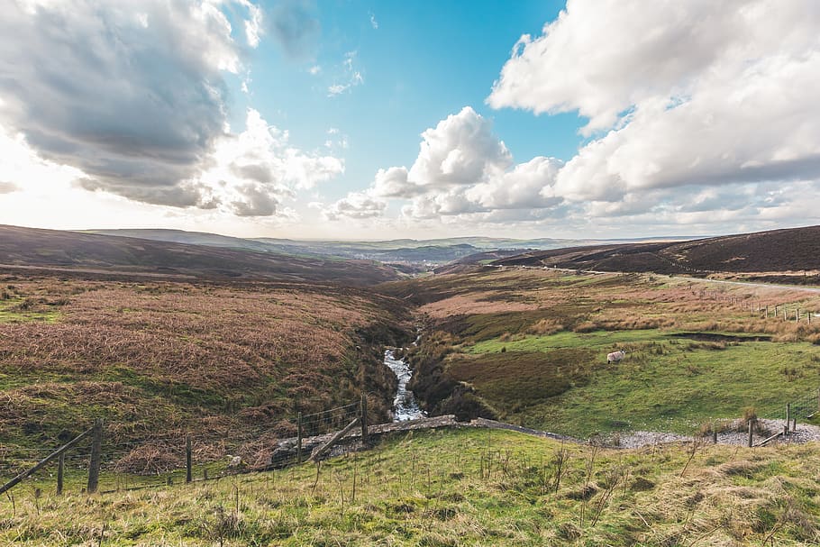 snake pass, united kingdom, glossop, woodland, green, landscape, HD wallpaper