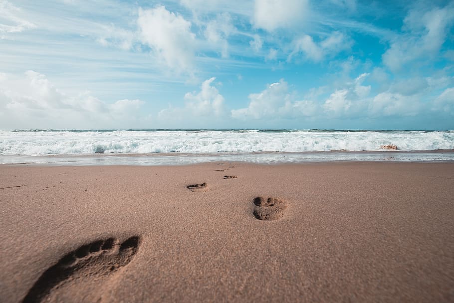 foot print on sand, footprint, bird, animal, nature, water, sea HD wallpaper
