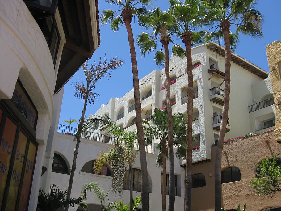 hotel, trees, tropical, architecture, mexico, building exterior HD wallpaper