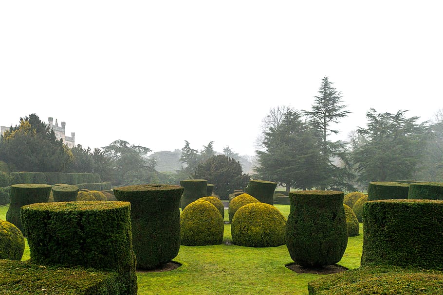 green-leafed plants during daytime, labyrinth, maze, outdoors HD wallpaper