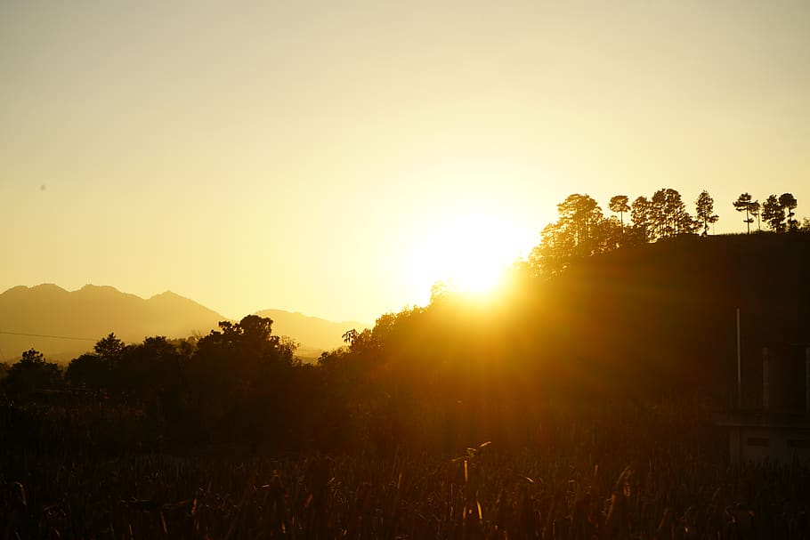 flare, light, sunlight, nature, outdoors, sunset, sky, sunrise HD wallpaper