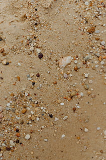 Sand beach background with sea shells & pebbles - many round small stones HD wallpaper
