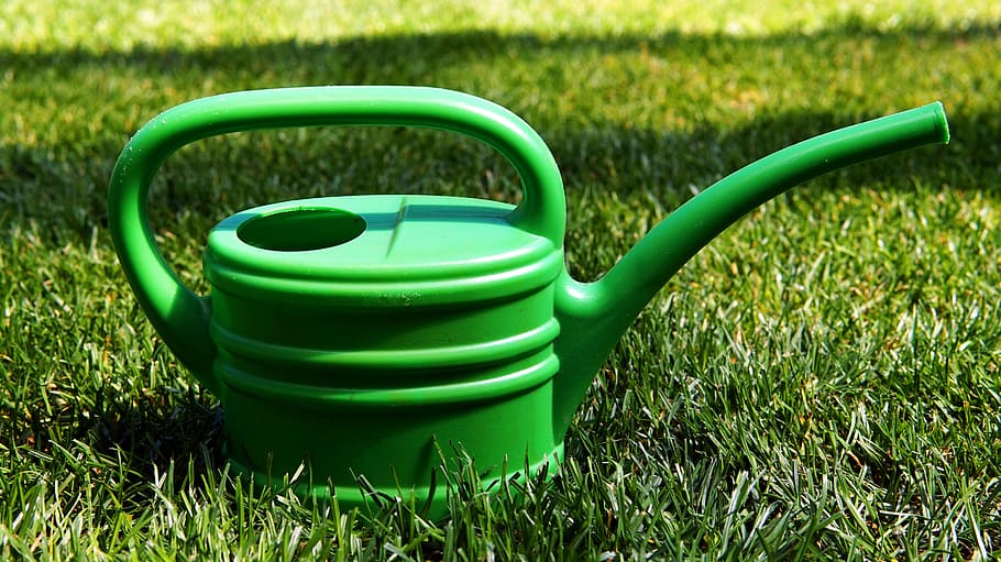 garden, casting, watering can, rush, gardening, irrigation HD wallpaper