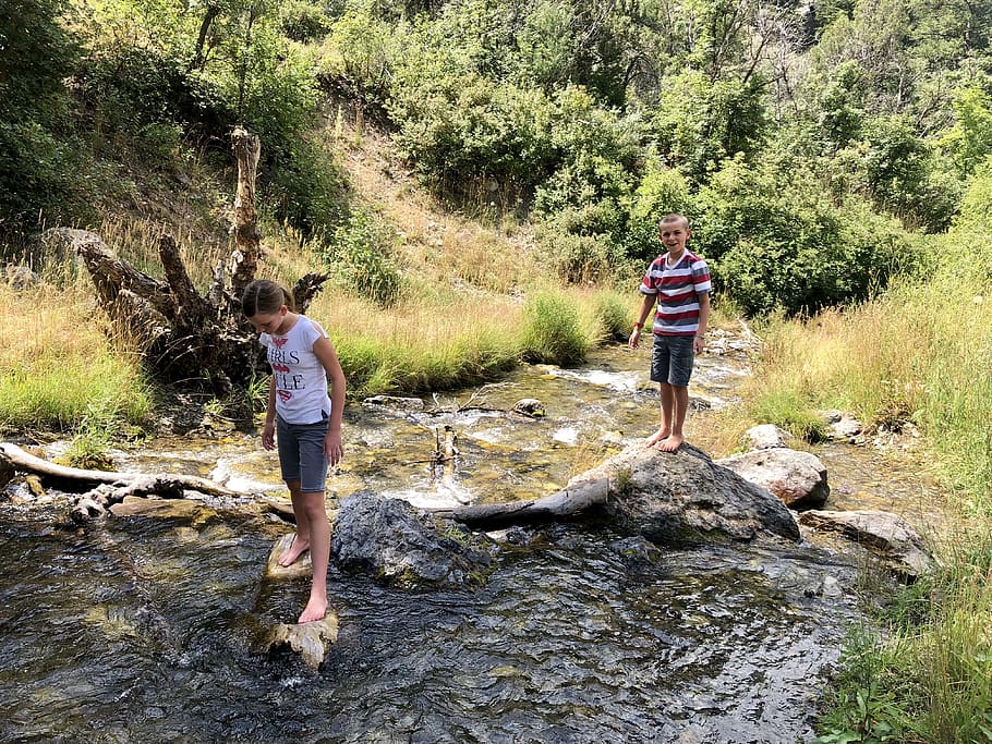 fun, water, summer, outside, kids, play, nature, river, tree HD wallpaper