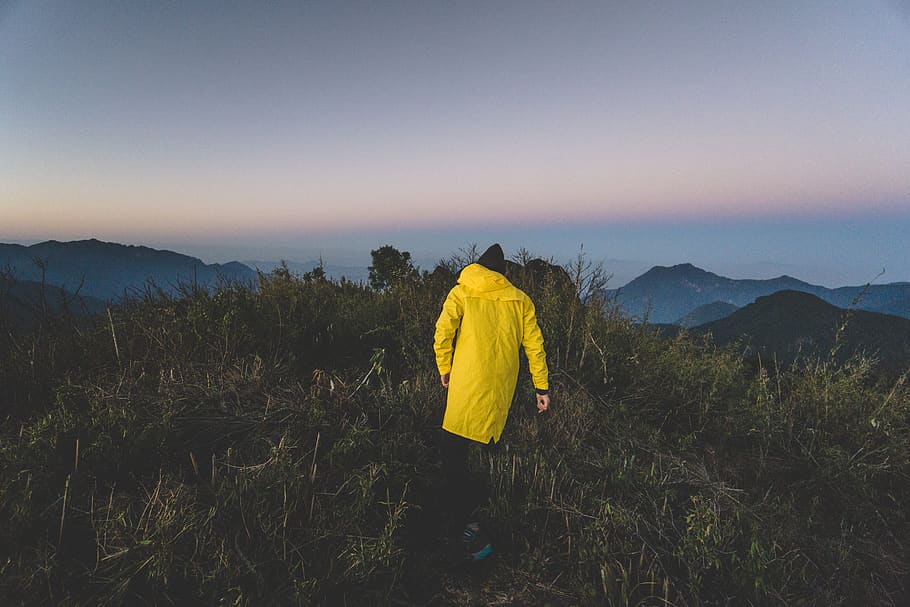 man wearing yellow jacket, apparel, clothing, coat, person, human HD wallpaper