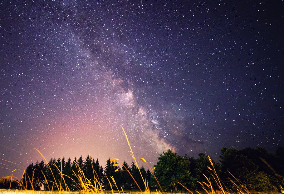 galaxy, milky way, night, grass, nebula, outdoors, outer space HD wallpaper