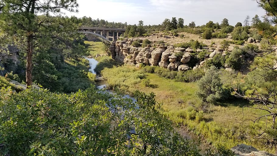 canyon, castlewood, stream, plant, tree, green color, nature HD wallpaper