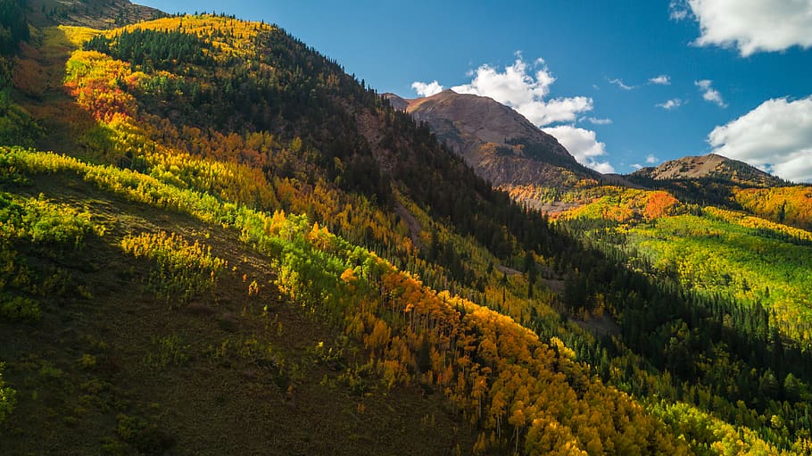 green grass mountain wallpaper, autumn, environment, scenics - nature HD wallpaper