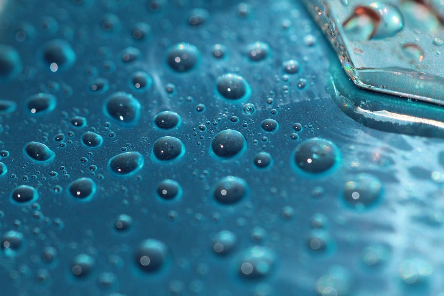czechia, choceradská, close-up, blue, no people, backgrounds HD wallpaper