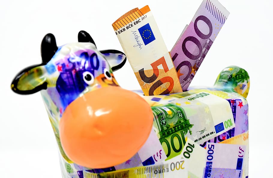 piggy bank, money, cow, dollar bill, 500 euro, 50 euro, save