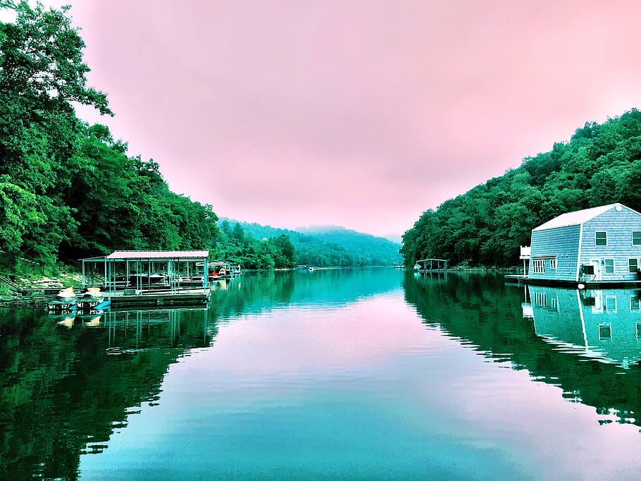 norris lake, united states, fog, tennessee, trees, foggy, water, HD wallpaper