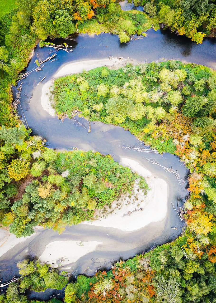 aerial photography of river surrounded by trees, drone view, aerial view, HD wallpaper