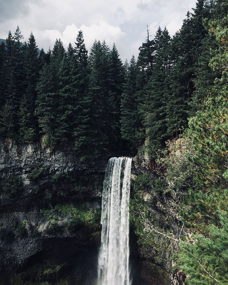 waterfalls beside trees, forest, cliff, rock, stone, pine, green HD wallpaper