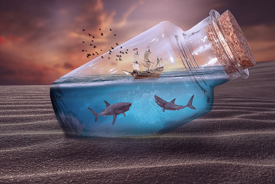 manipulation, bottle, shark, dessert, landscape, underwater HD wallpaper