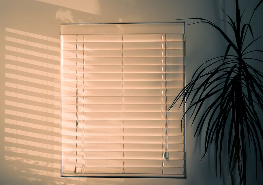 white closed window blind near green leaf plant inside room, home decor