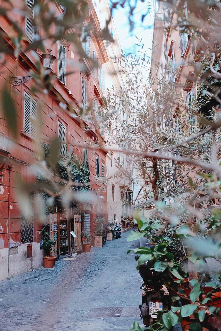 Street, rome, spring, cobbles, trees, romantic, building exterior HD wallpaper