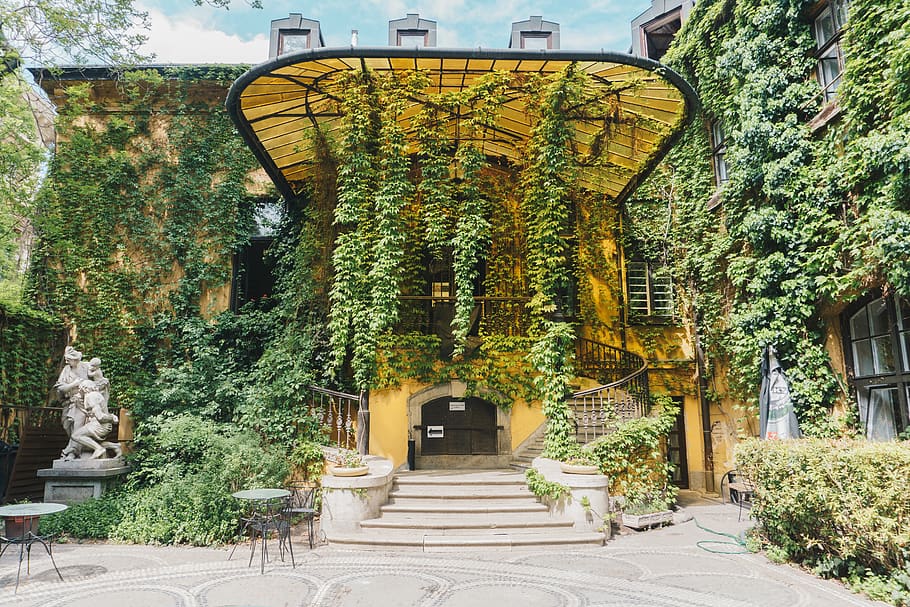 green leafed trees, ivy, plant, porch, building, hungary, palace district HD wallpaper