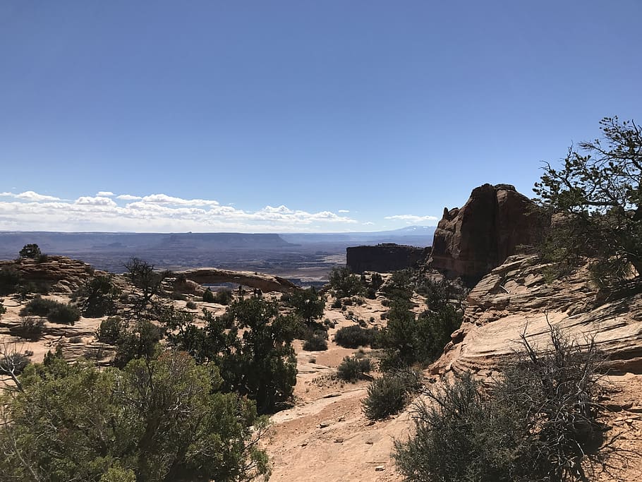 mesa arch, canyon, dead horse point, state park, sky, plant