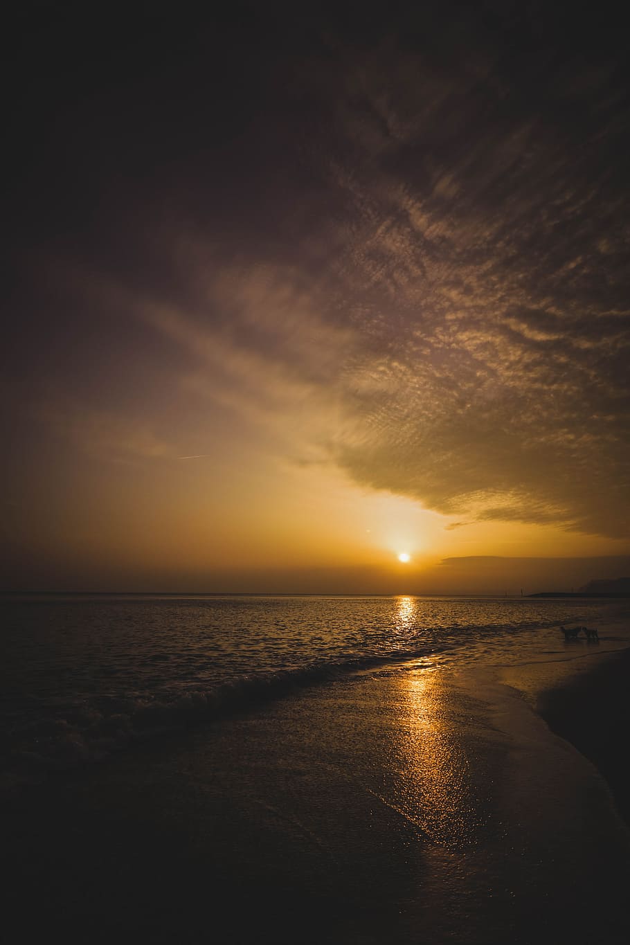 Ocean Horizon during Sunset in Landscape Photography, beach, clouds HD wallpaper