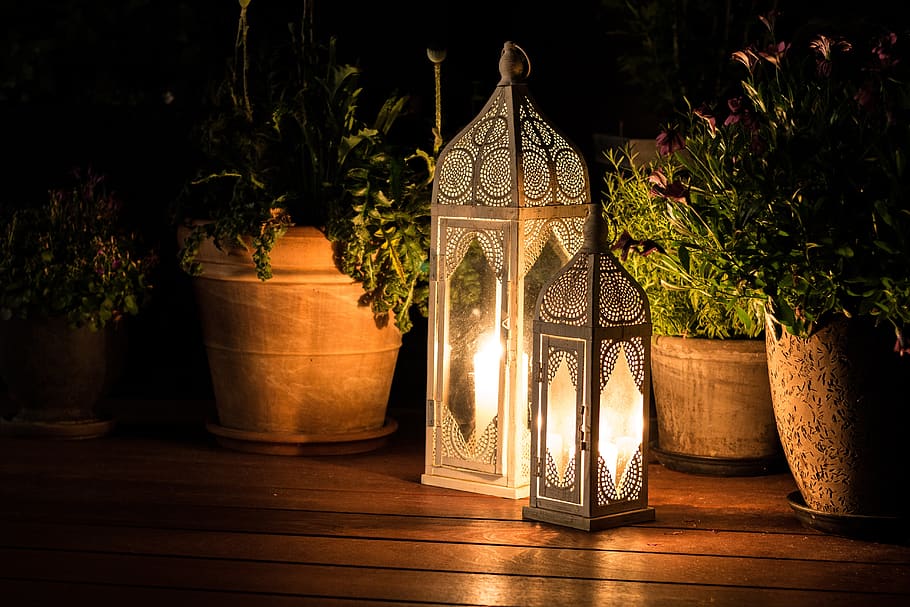 cozy, terrace, lanterns, evening, no people, plant, tree, nature HD wallpaper