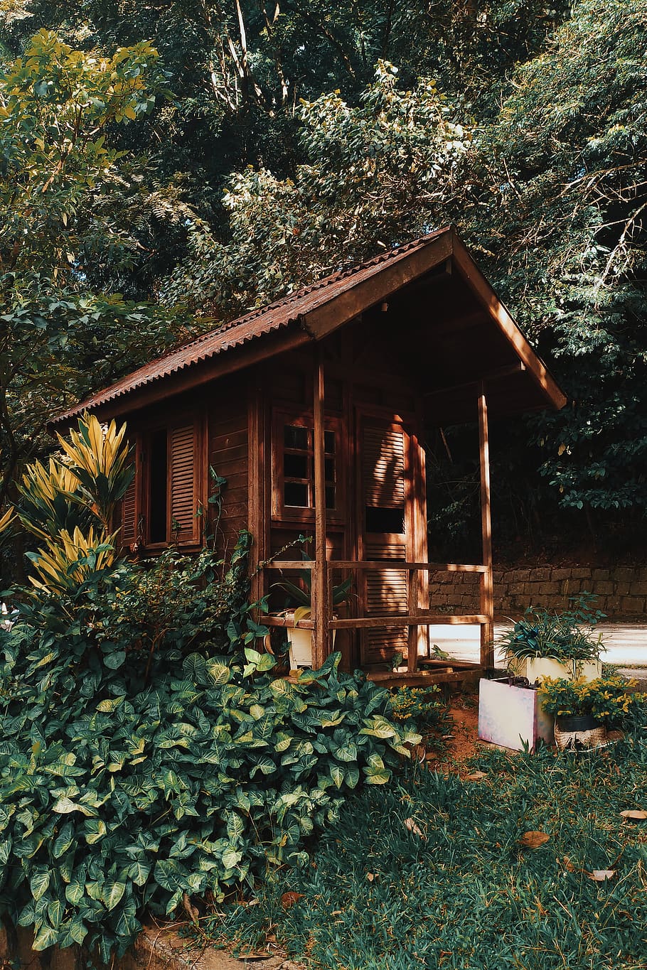 Brown Wooden House Near Plants and Trees, cabin, daylight, garden HD wallpaper